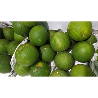 Bưởi da xanh Bến Tre Combo 2 trái 99k Size 1kg-1,3kg