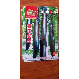 hạt giống Cà Đen dài ,xuất xứ Đài Loan,gói khoảng 100 hạt,nảy mầm cao,Cà đen chứa giá trị dinh dưỡng cao dễ trồng