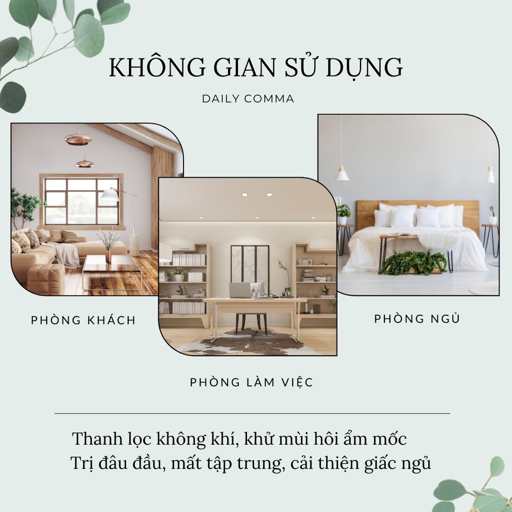 Tinh dầu tán hương Black Cherry  - BST Daily Comma Aurora Gradation Diffuser