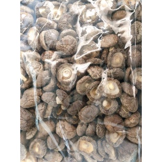 SỈ NẤM ĐÔNG CÔ (TAI TO, TRÒN ĐỀU 3cm - 4cm)