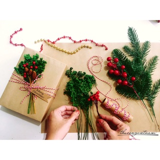 Set gói quà giáng sinh mẫu 5