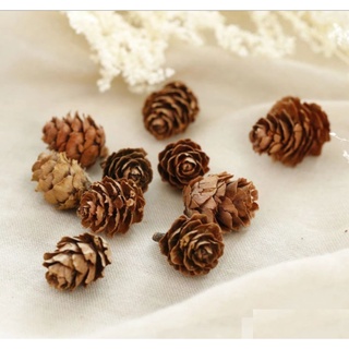 Quả thông trang trí noel