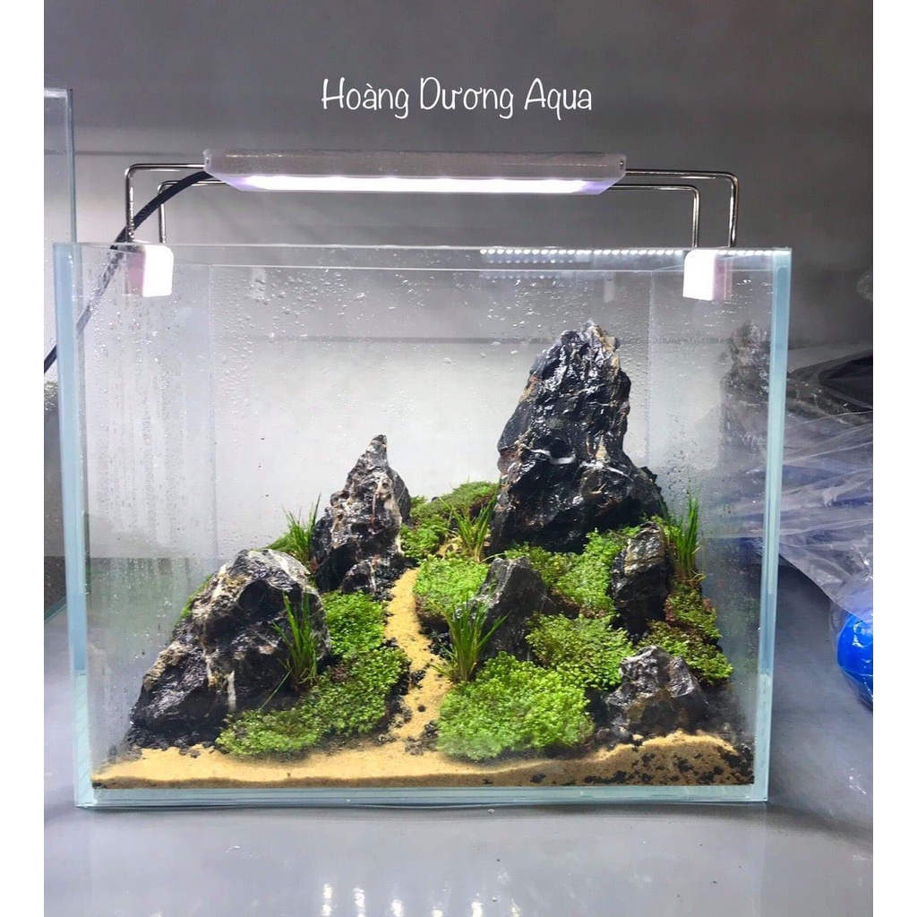 Đá Kẹp Kem 1 Kg - Đá Trang Trí Bể Cá Cảnh, Bể Thủy Sinh, Bán Cạn