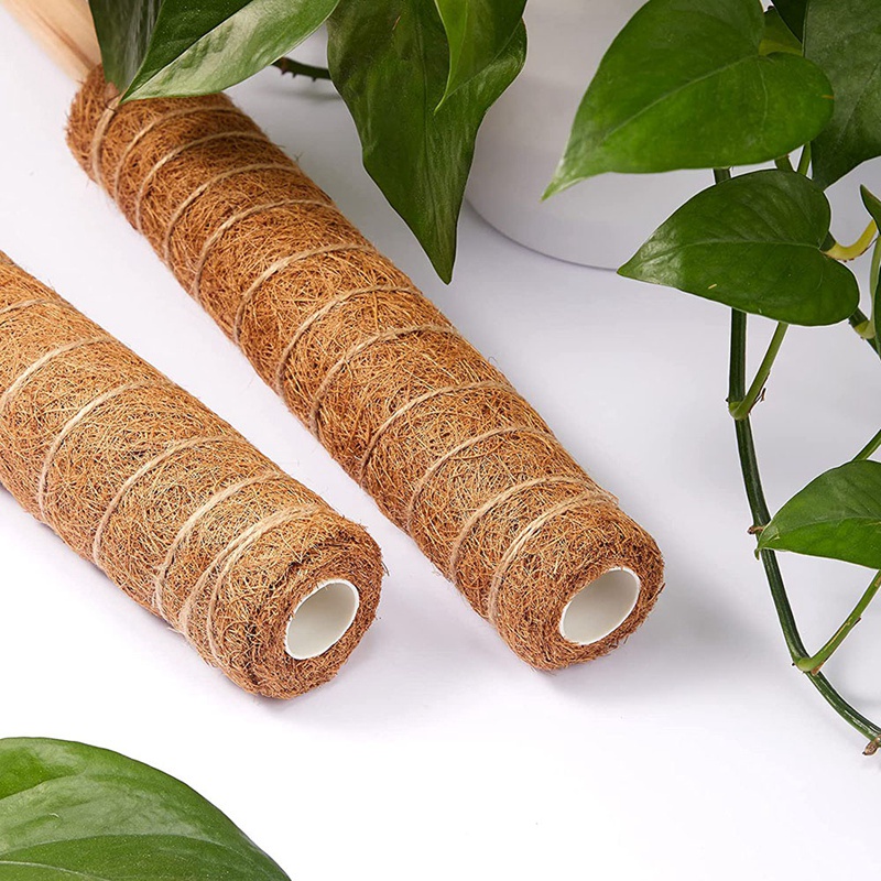 Bộ 10 Thanh Rêu Xoắn 16 inch Hỗ Trợ Nối Dài Kèm 30 Đầu Tabs &amp; 5 Dây Cột