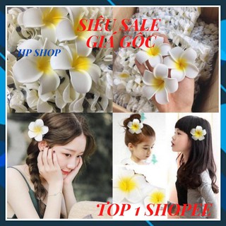Kẹp tóc hoa đại♥️combo 2 hoa♥️kẹp tóc hoa đại dùng đi biển đi chơi