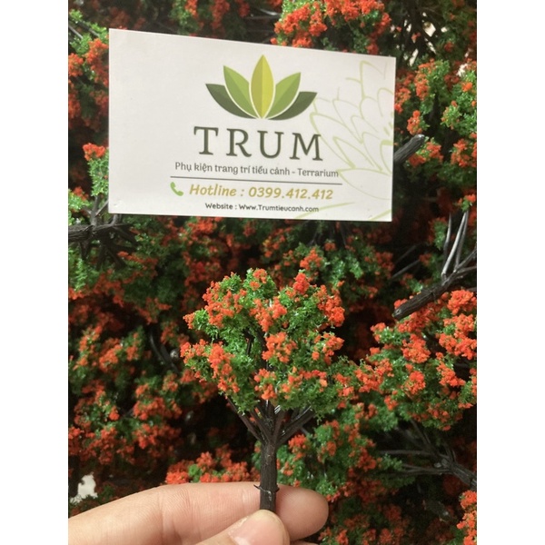 [ Ảnh tự chụp ] Cây Hoa Đo Lót Xanh - Phụ Kiện Trang Trí Tiểu Cảnh