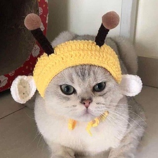 Mũ len cho mèo handmade