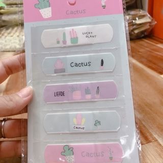 Băng keo cá nhân hình cute