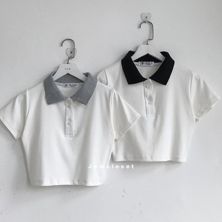 ÁO THUN CROPTOP PETTER PHỐI CỔ🥖