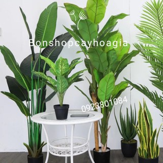 Cây chuối giả giống thật đến 99% cao 1m6 kèm chậu đen- Cây Giả