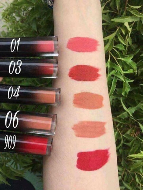 Son cHU lipstick sỉ giá 930k