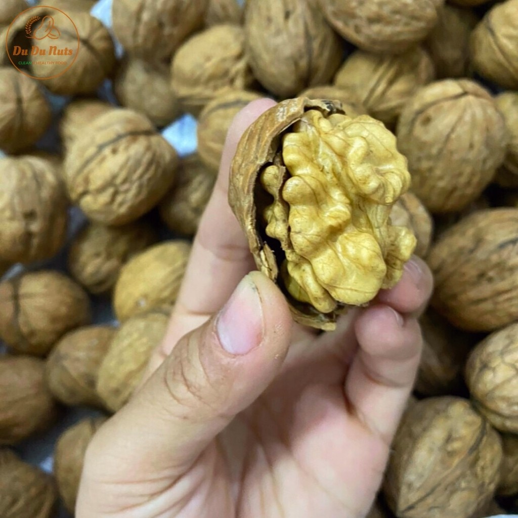 Quả Óc chó vàng nguyên vỏ (Hàng nhập khẩu Mỹ) - Thương hiệu Du Du Nuts - Tặng kèm dụng cụ tách vỏ tiện lợi