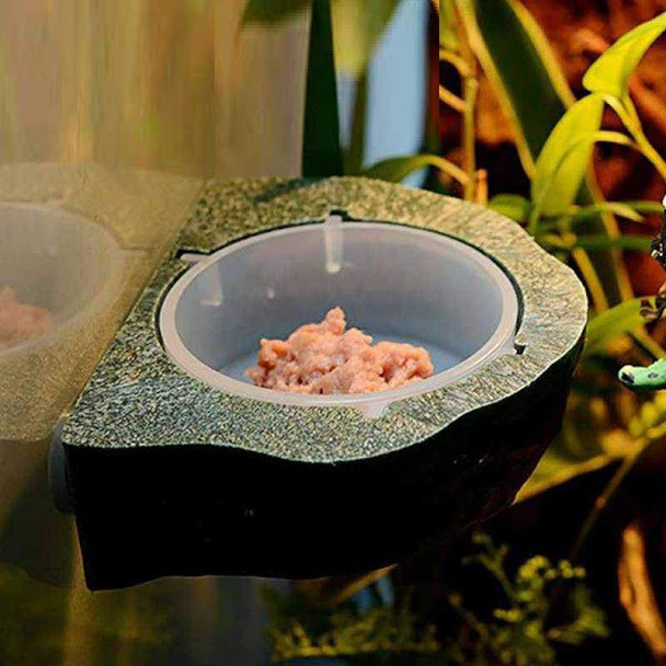Chén đựng thức ăn cho bò sát nam châm