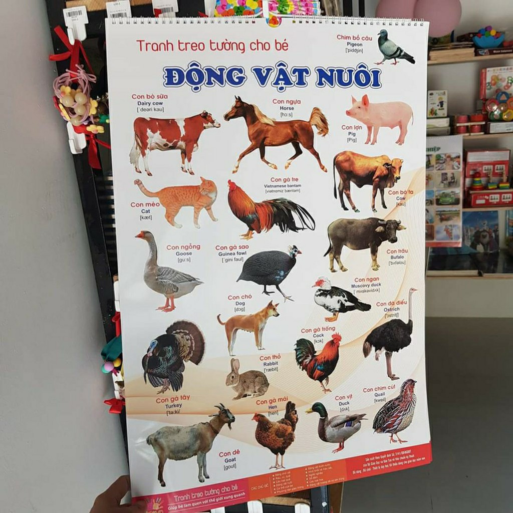 Tranh treo tường cho bé 14 chủ đề, TOGABO