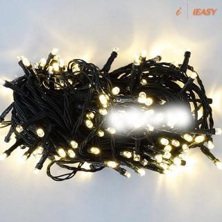 Dây 100 bóng đèn LED dùng trang trí