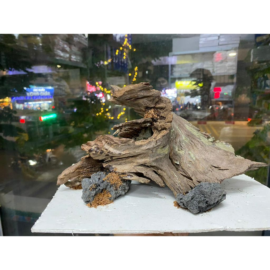 Layout cho bể thủy sinh, bể cá cảnh, trang trí bể cá (hàng sẵn như hình)