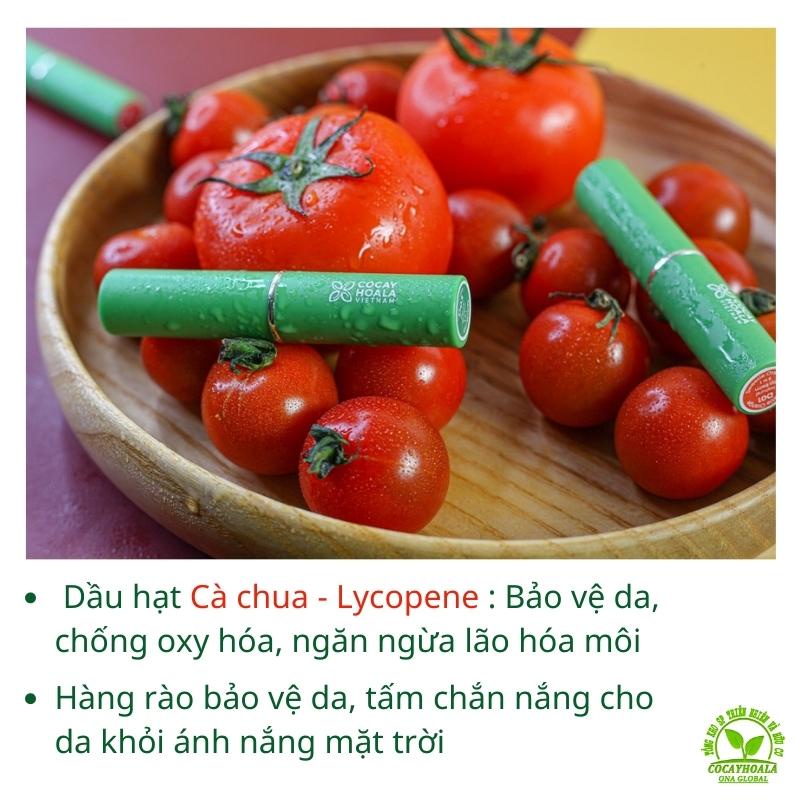 Son Dưỡng Cà Chua Hữu Cơ 3M Cocayhoala  Son Dưỡng an toàn Cỏ cây hoa lá giảm thâm làm hồng cho mẹ bầu mẹ sau sinh 1.5g