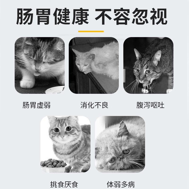 Gel hỗ trợ tiêu hóa Dorrikey Gel dinh dưỡng tăng cường ăn uống vỗ béo cho chó mèo DK05