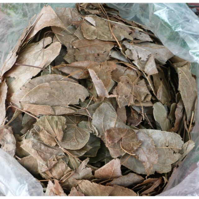 Dâm Dương Hoắc