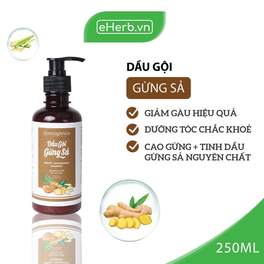 Dầu Gội Gừng Sả Làm Sạch Gàu, Dưỡng Tóc Mềm Mượt Từ Cao Gừng Cô Đặc MILAGANICS 250ml (Chai)