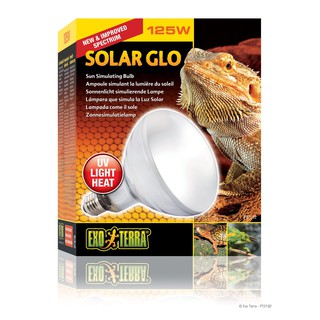Đèn Solar Exo Terra 125W chuyên dùng cho bò sát