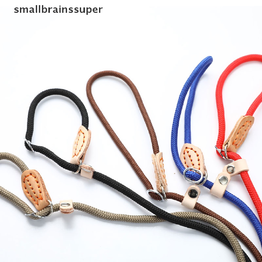 Dây Dắt Thú Cưng Đi Dạo Bằng Nilon Có Dây Xích Chống Trượt