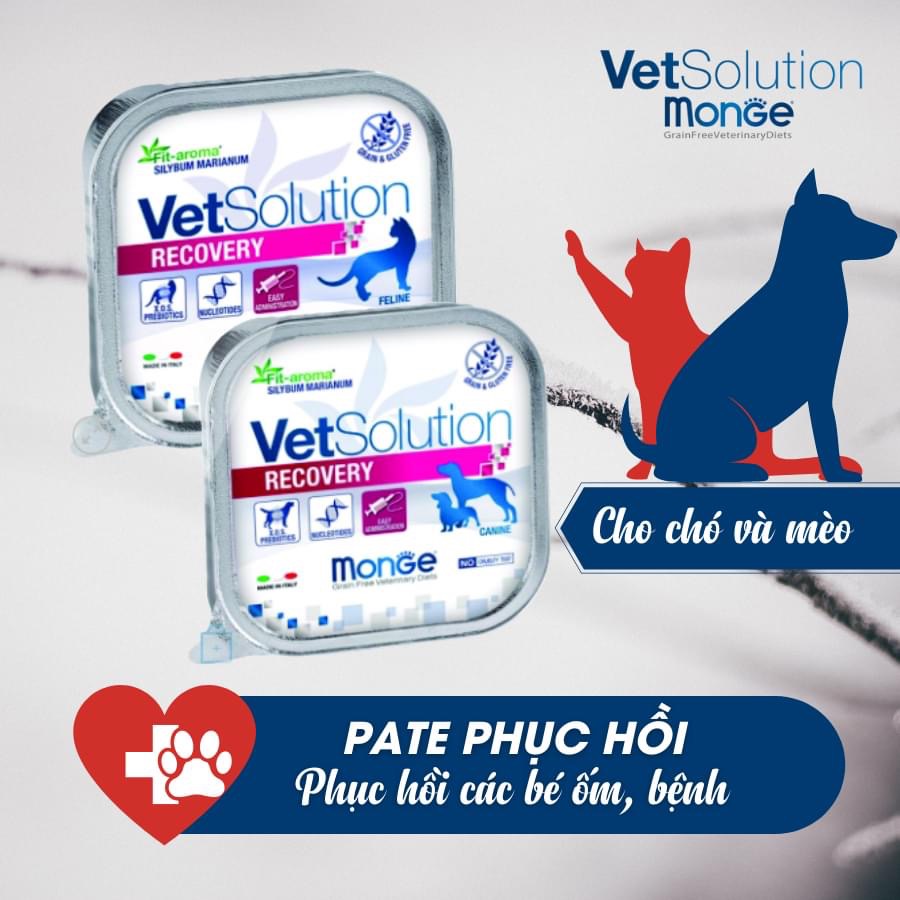 Pate phục hồi cho chó mèo bệnh, bổ sung dinh dưỡng cao cấp (Monge, Ý)