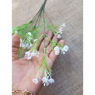 điểm bi cành dài 60cm