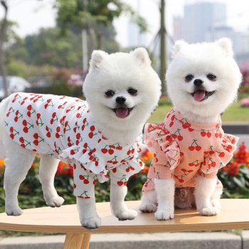 Áo thun cho Chó Mèo mùa xuân hè thoáng mát - Siêu dễ thương ChunChut PetShop