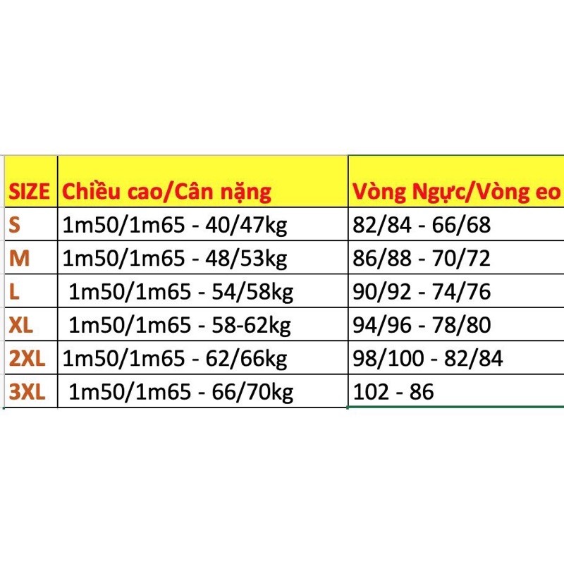 Áo dài cách tân Tây Thi - Tặng kèm Mấn - Ảnh Shop Chụp 100%