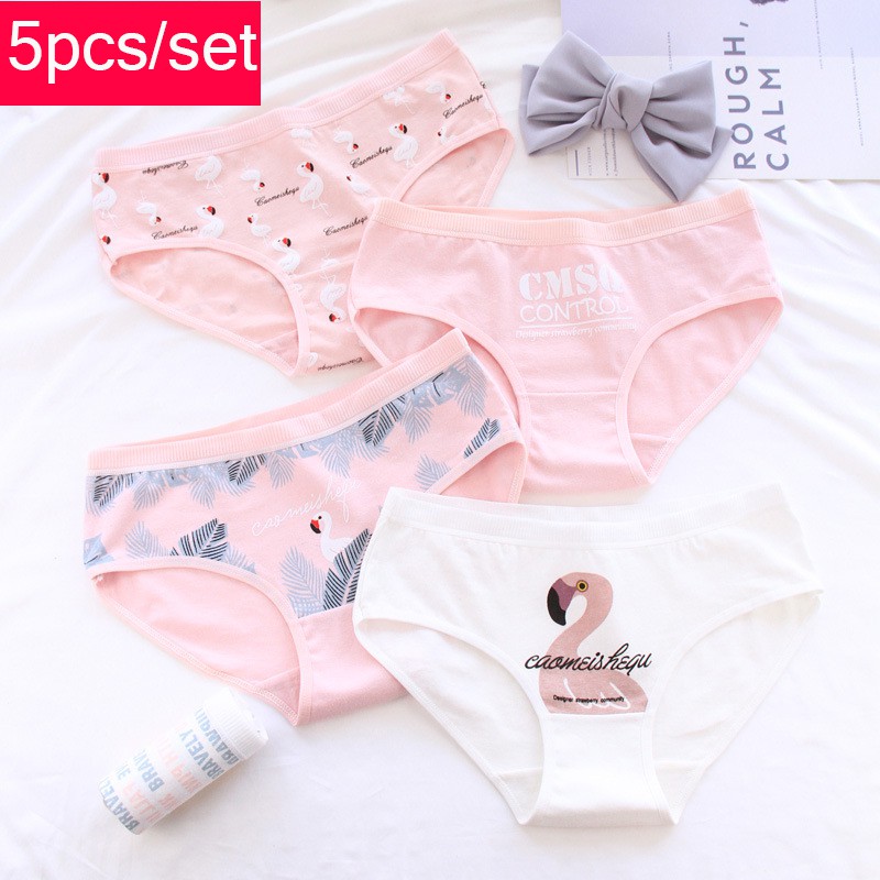 Set 5 quần lót cotton họa tiết hoạt hình dễ thương cho nữ | BigBuy360 - bigbuy360.vn