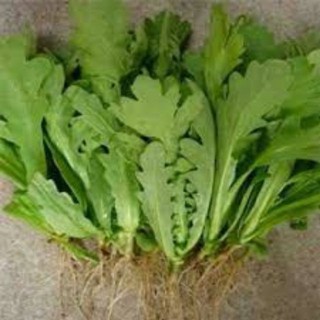 Hạt giống Cải Cúc 50 hạt