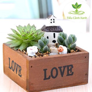 Chậu cây gỗ tiểu cảnh LOVE