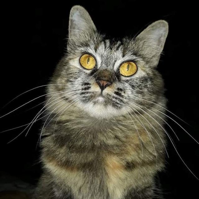 vn4408_23539, Cửa hàng trực tuyến | BigBuy360 - bigbuy360.vn