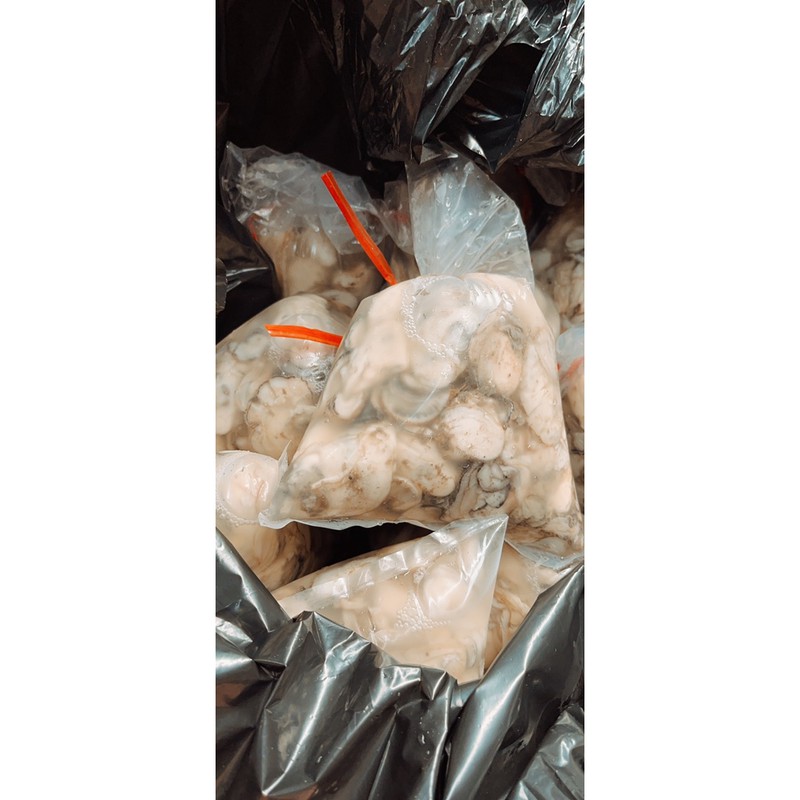 (DTFood-CHUYÊN SỈ) RUỘT HÀU TÚI 1kg SIÊU NGON BÉO TRỤC BÉO TRÒN 💥