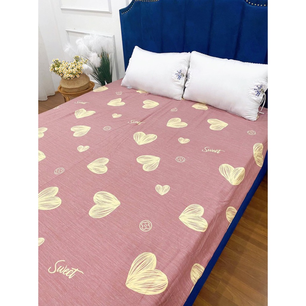 Ga giường ký túc xá 80 x 190 x 5cm.