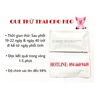 Que thử thai cho heo