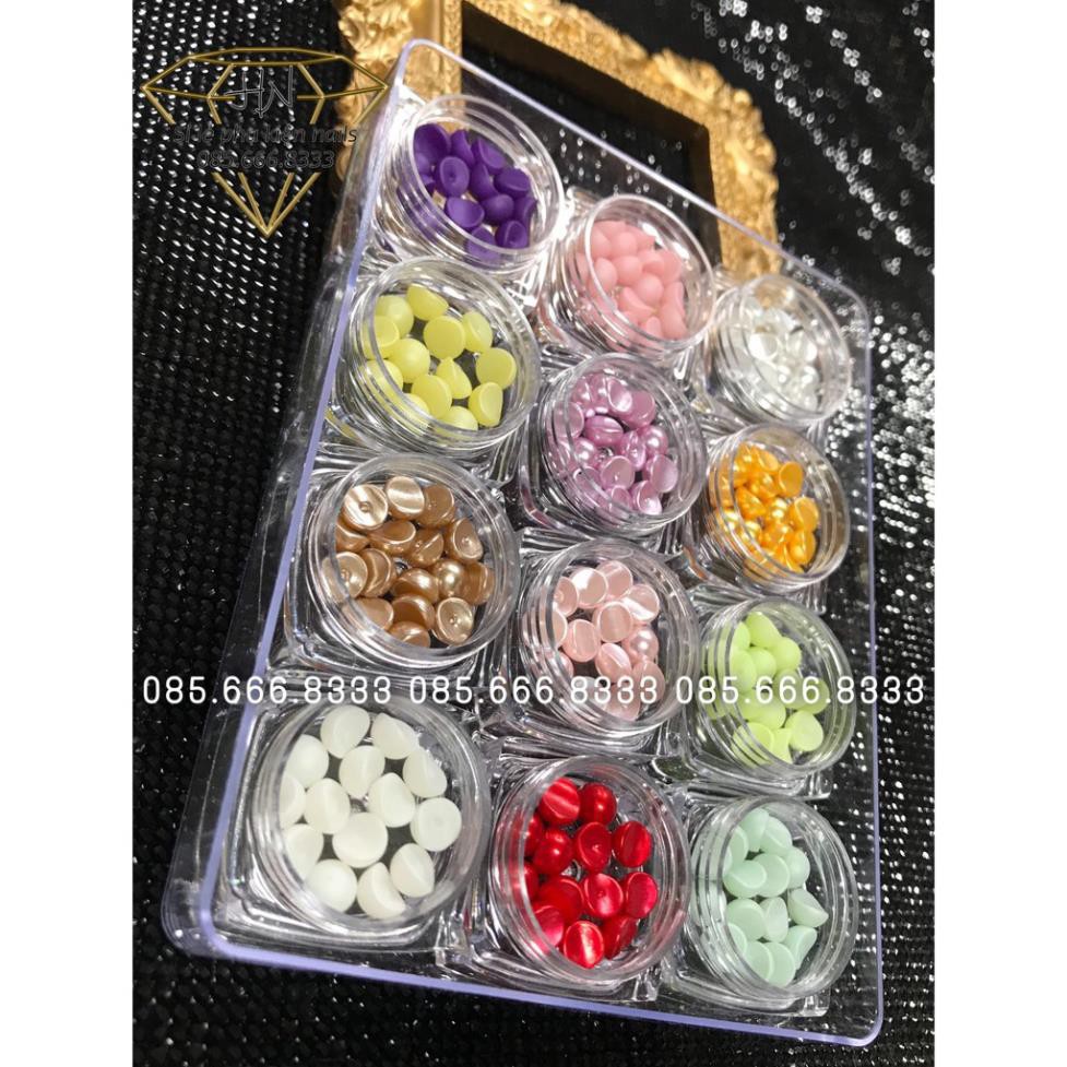 Set trai nửa 12 màu