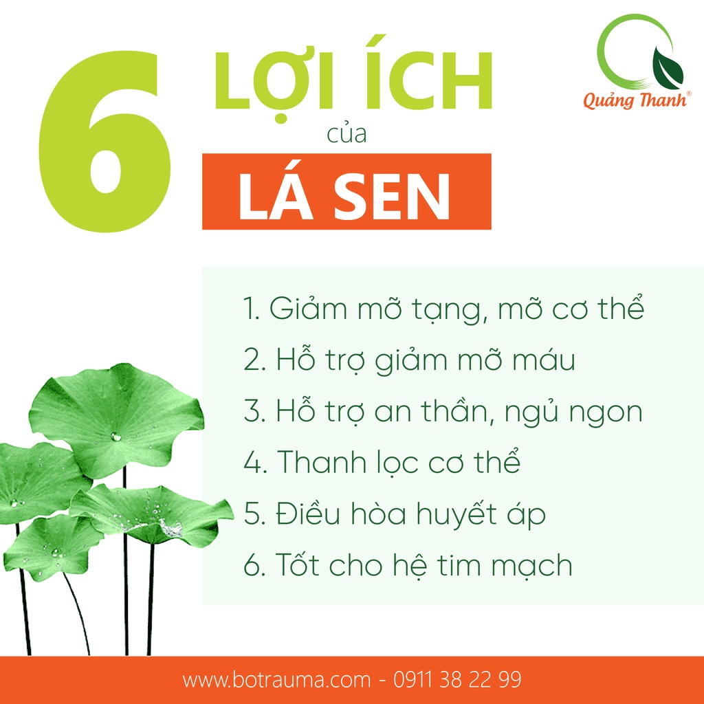 Combo Bột Cần Tây và Bột Lá Sen 50g - Hỗ trợ giảm cân, giảm mỡ máu, ngủ ngon, đẹp da