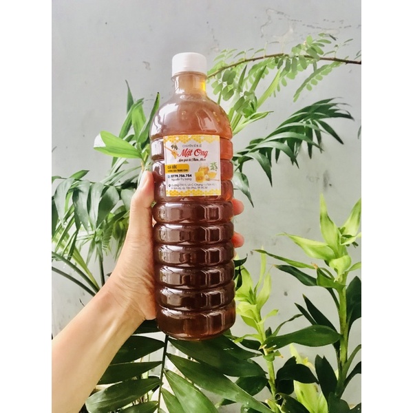 combo 5L mật ong hoa cà phê Nguyên chất