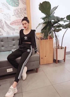 Bộ das thể thao 3 món