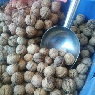 1kg quả óc chó Sapa