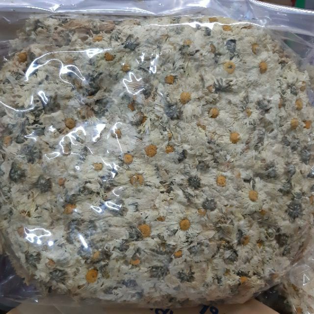 Bông Cúc Khô Giải Nhiệt