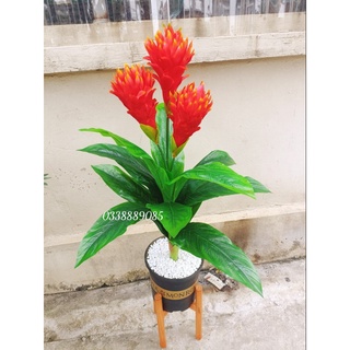 Cây Lan Đuốc giả cảnh 80cm trang trí văn phong,phòng khách