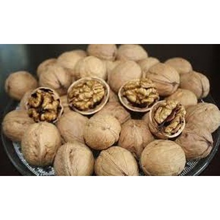 500g Qủa óc chó mỹ