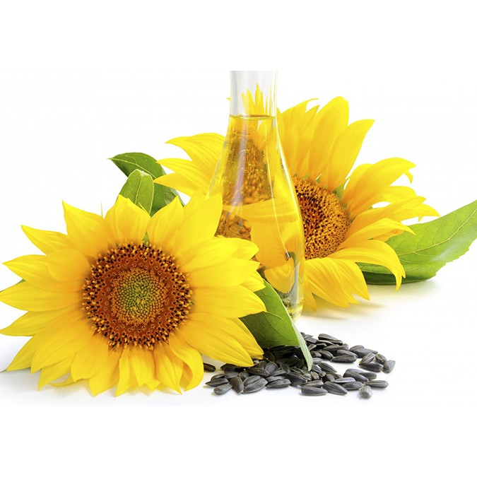Dầu Hạt Hướng Dương