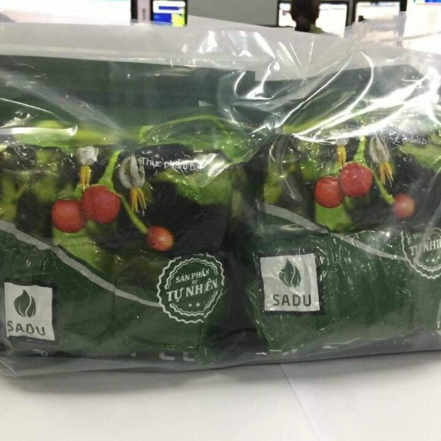Trà cà gai leo túi lọc sadu 1kg-4 bịch x 250g-gồm 200 túi lọc-giải độc gan-mát gan