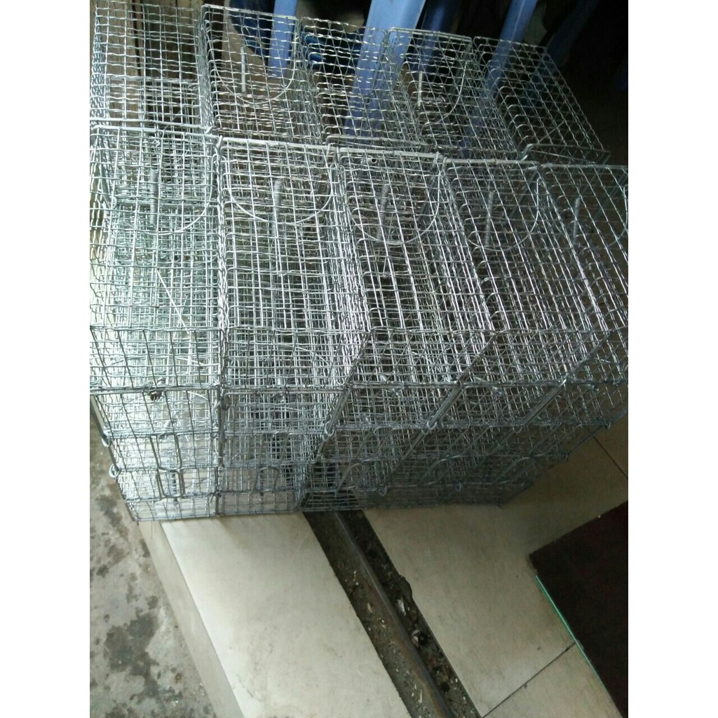 Combo 2 bẩy chuột , sóc trung