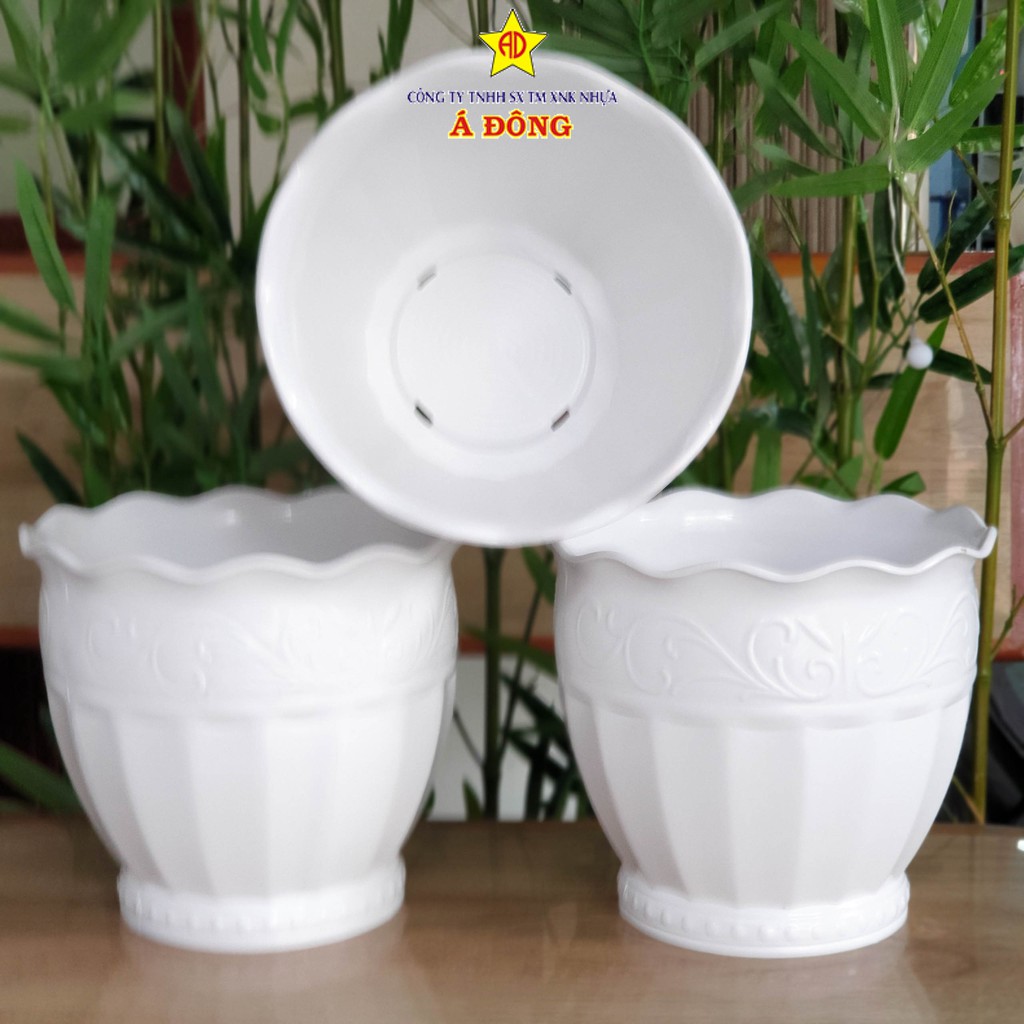 Chậu Bom Lùn 23 cm & 28 cm - Chậu Nhựa Á Đông - Cơ sở sản xuất chậu làm vườn, trang trí cây cảnh