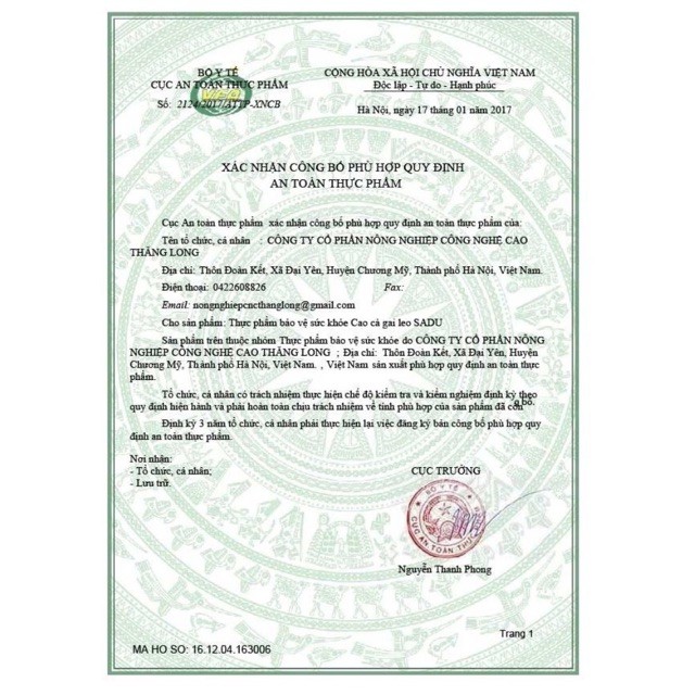 TRÀ TÚI LỌC CÀ GAI LEO SADU MÁT GAN THẢI ĐỘC GAN